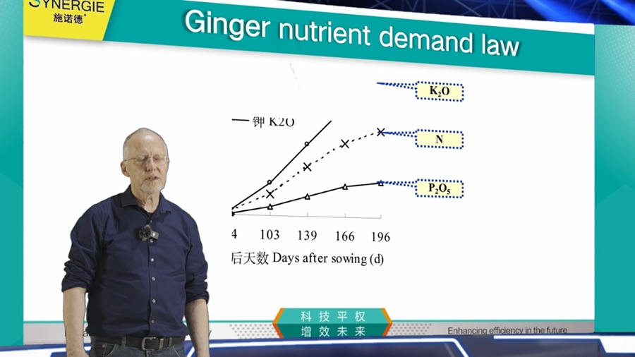 Ginger Nutrient Enhancement Solution Video Poster