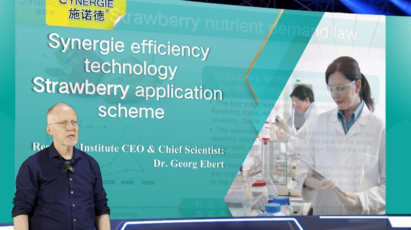 Strawberry Nutrient Enhancement Solution Video Poster