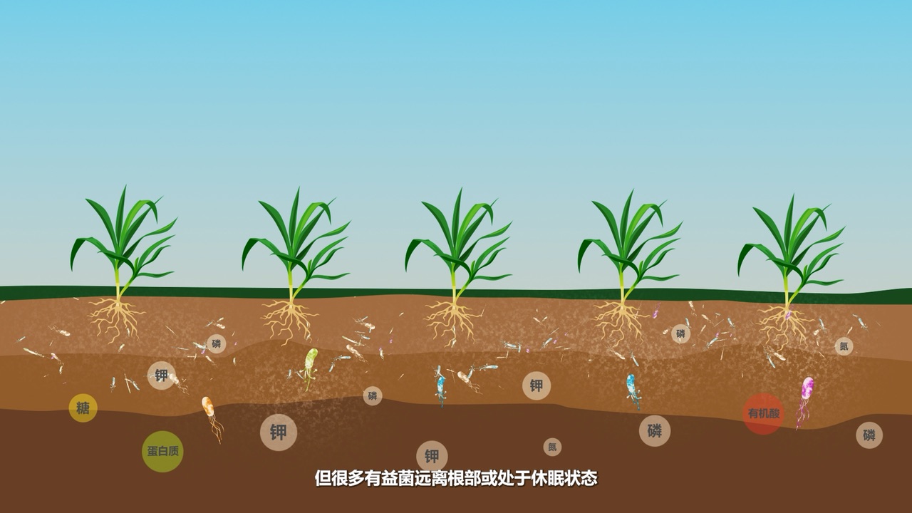 Microbiome Activation Technology Video Poster